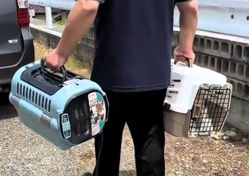 キャットレスキュー猫の鈴。8匹の猫と暮らす 男性と向き合って。アイキャッチ