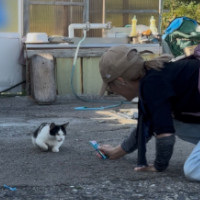 キャットレスキュー「猫の鈴」運営代表亀山千鳥のプロフィールアイコン