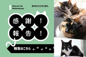 ご支援・ご寄付ありがとうございます。ご支援・ご寄付の報告ページはこちら