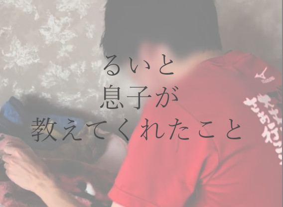 懸命に生きた保護猫「るい」の記録。アイキャッチ画像