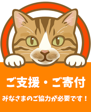 猫のTNR活動や保護・譲渡活動にご支援・ご寄付お願いします！支援・サポート方法ページはコチラです！