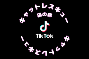 キャットレスキューはTikTokで動画を公開しています！応援よろしくおねがいします！