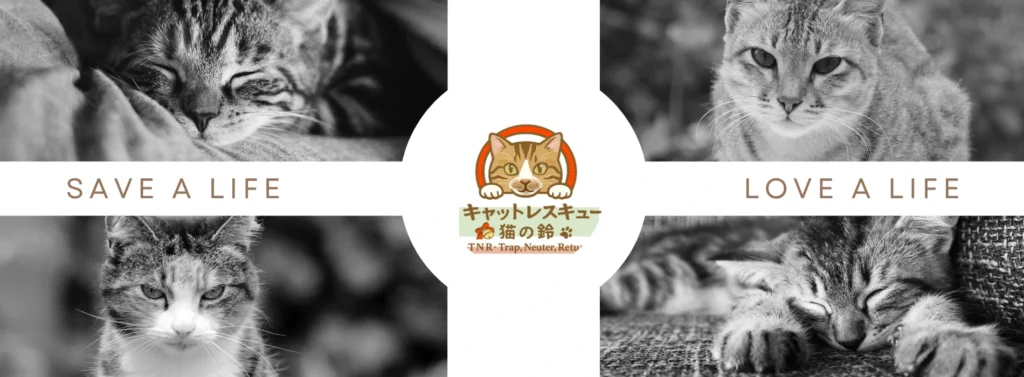 岩手県久慈市を拠点にTNR活動。キャットレスキュー猫の鈴。heager画像