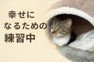 幸せになるための練習中｜保護猫トライアル日記｜キャットレスキュー猫の鈴
