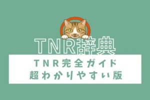 岩手県久慈市でTNR活動。キャットレスキュー猫の鈴。TNR完全ガイド｜超わかりやすい版