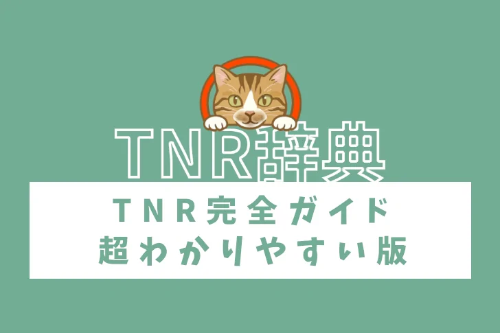 岩手県久慈市でTNR活動。キャットレスキュー猫の鈴。TNR完全ガイド|超わかりやすい版
