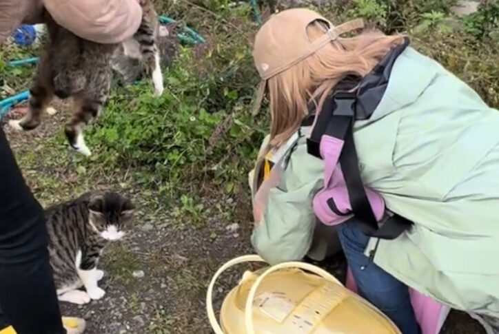 協力者の方とTrap(捕獲)している様子。TNR活動に協力してくれた方に感謝。