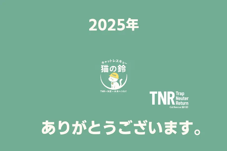 2025年。皆様のおかげで、猫たちの命を沢山救えました！今年最後の御挨拶と感謝。