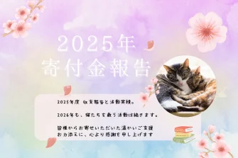 2025年度 寄付金および活動実績のご報告